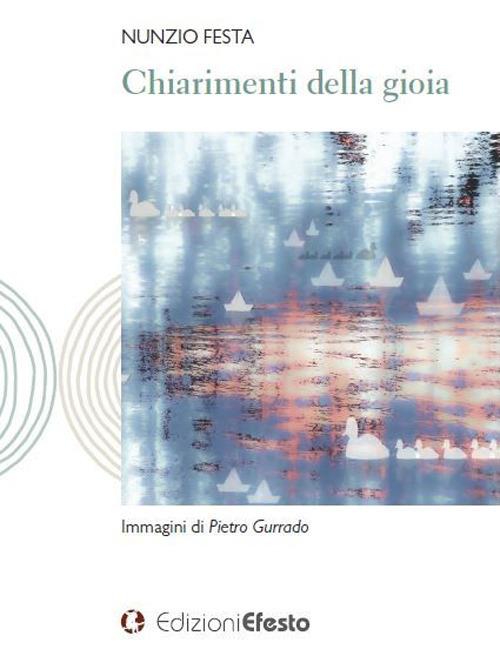 Copertina del libro: Chiarimenti della gioia