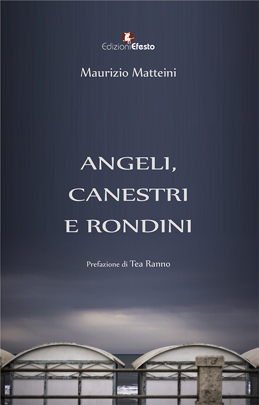 Copertina del libro: Angeli, canestri e rondini