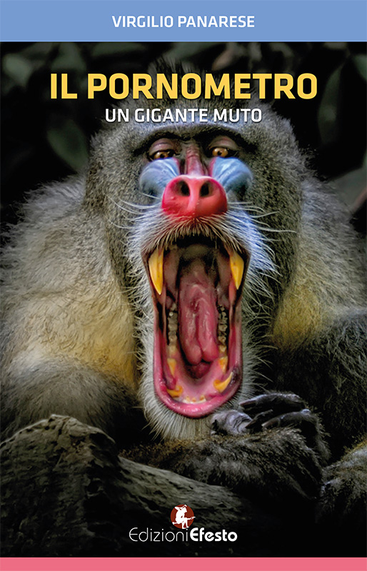 Copertina del libro: Il pornometro